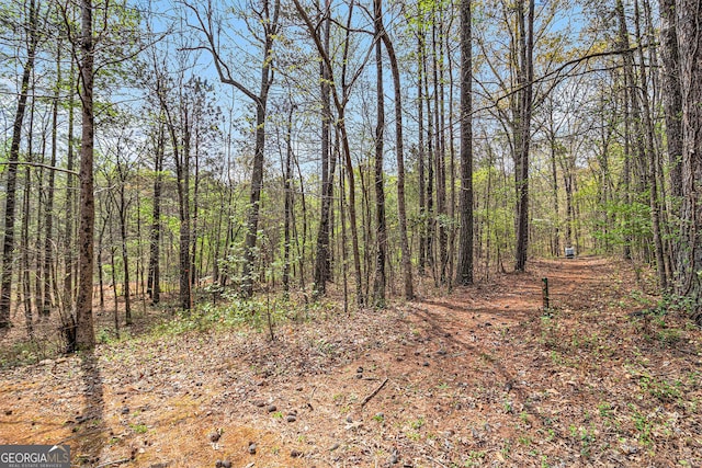 7497 Treehouse Ct, Douglasville, GA 30135 - view of local wilderness featuring a view of trees