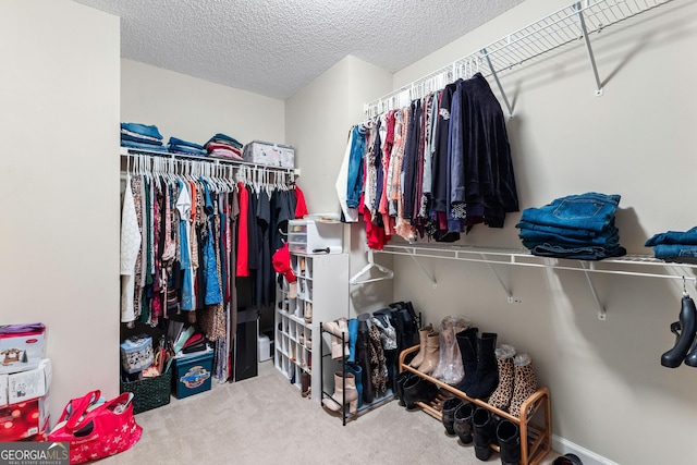 spacious closet featuring carpet