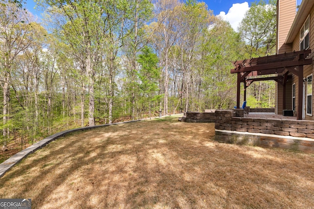 368 Yellowwood Dr, Sharpsburg, GA 30277 - view of yard