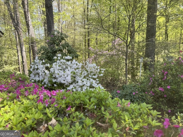272 Sleepy Hollow Rd, Lafayette, GA 30728 - view of local wilderness featuring a wooded view