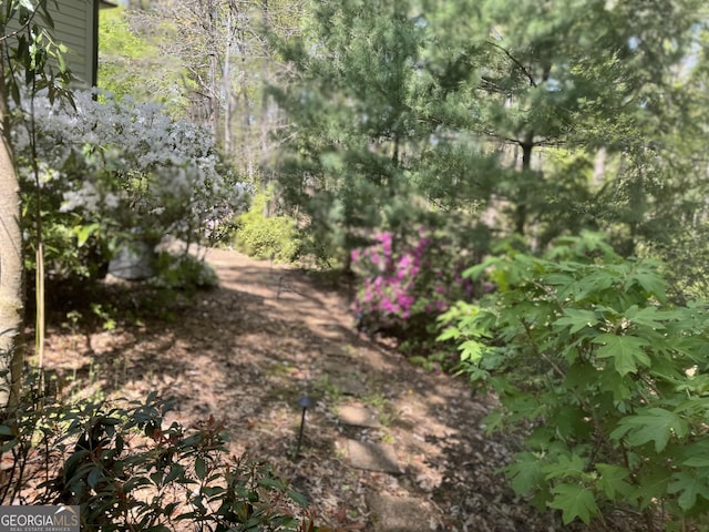272 Sleepy Hollow Rd, Lafayette, GA 30728 - bird's eye view with a view of trees