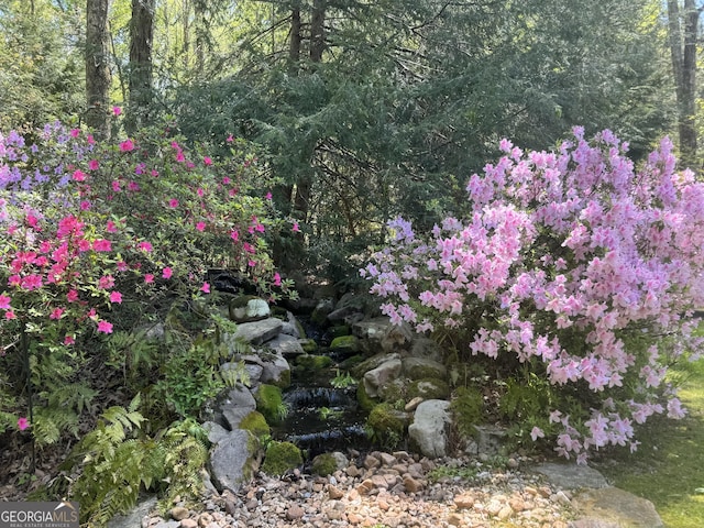 272 Sleepy Hollow Rd, Lafayette, GA 30728 - view of landscape