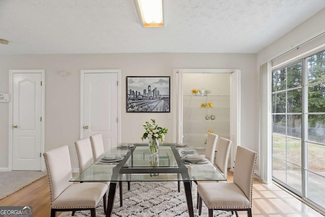 dining area with baseboards, a textured ceiling, and light wood finished floors