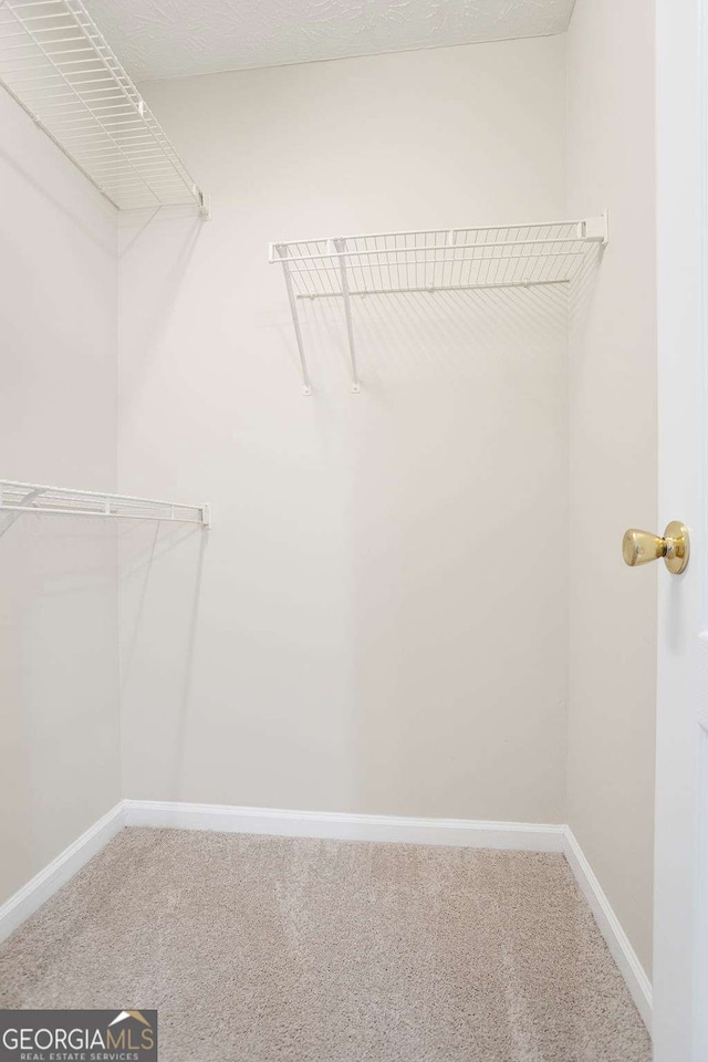 walk in closet with carpet