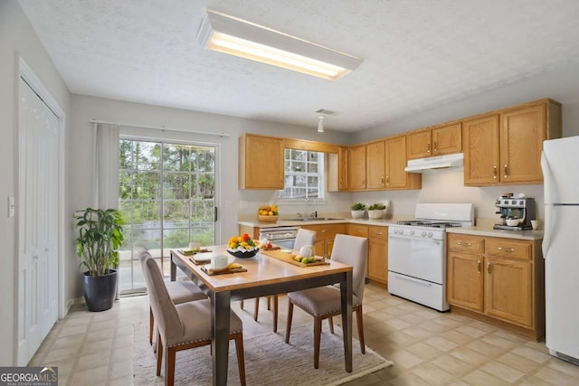 kitchen featuring light floors, a sink, under cabinet range hood, and white appliances