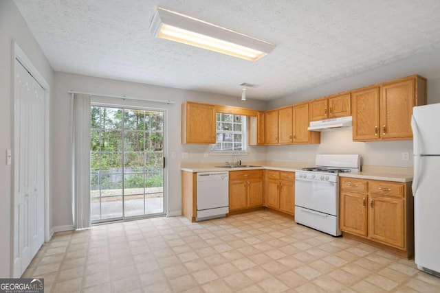 kitchen with light countertops, a sink, light floors, under cabinet range hood, and white appliances