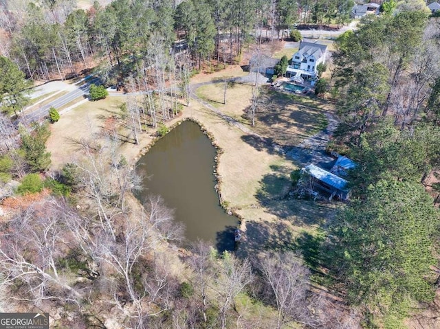 1768 Hood Rd, Dacula, GA 30019 - aerial view of a large body of water