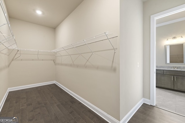 spacious closet with a sink and dark wood-style floors