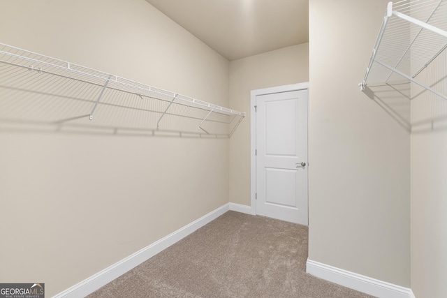 walk in closet with carpet floors