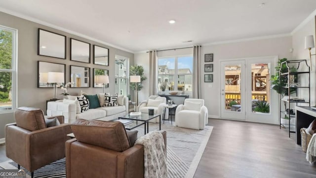 living room featuring wood finished floors and crown molding