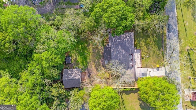 bird's eye view