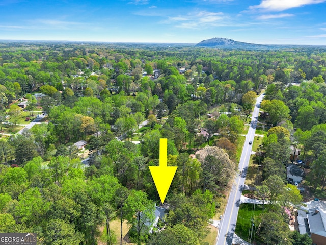 292 Old Rosser Rd, Stone Mountain, GA 30087 - aerial view with a forest view