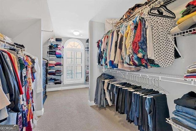 spacious closet with carpet flooring