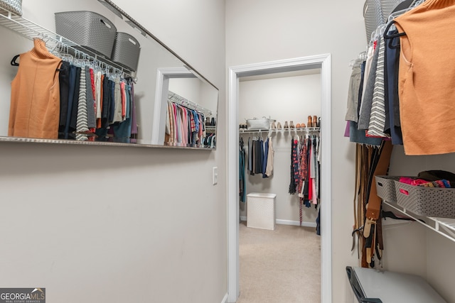 spacious closet with carpet floors