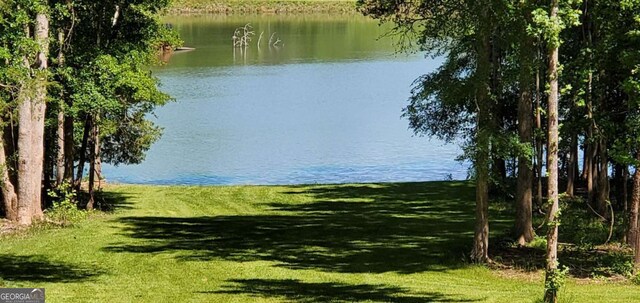 142 Holland Dam Dr, Maysville, GA 30558 - property view of water