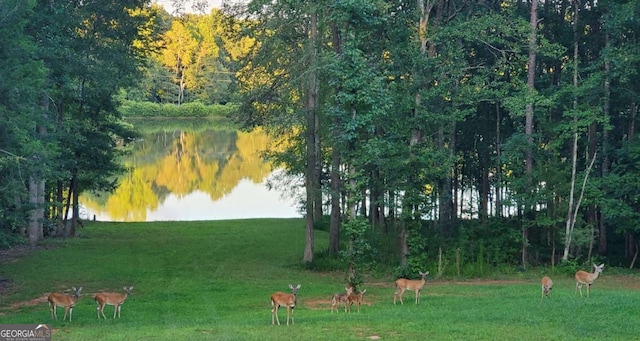 142 Holland Dam Dr, Maysville, GA 30558 - view of yard with a water view