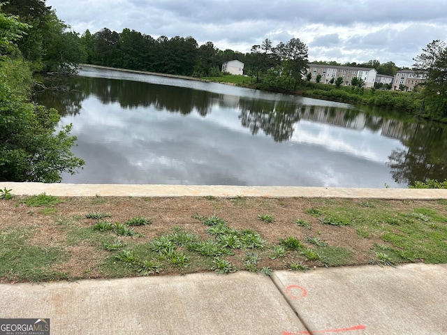 3323 Owl Creek Pkwy, Acworth, GA 30102 - water view