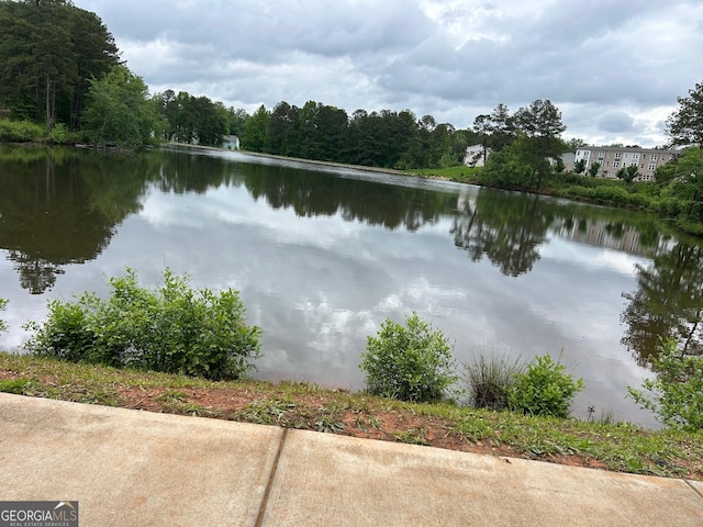 3323 Owl Creek Pkwy, Acworth, GA 30102 - water view