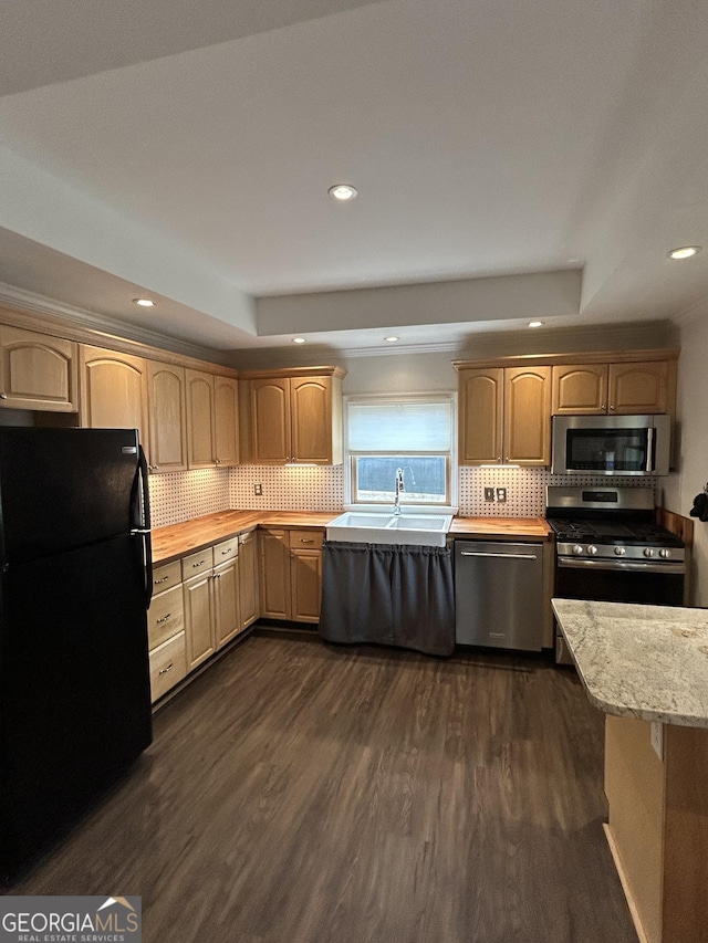 6121 N Main St SE, Acworth, GA 30101 - kitchen featuring a sink, dark wood finished floors, stainless steel appliances, tasteful backsplash, and a tray ceiling
