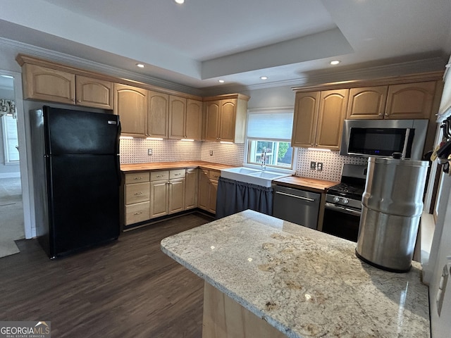 6121 N Main St SE, Acworth, GA 30101 - kitchen featuring appliances with stainless steel finishes, a sink, a raised ceiling, recessed lighting, and tasteful backsplash