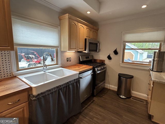 6121 N Main St SE, Acworth, GA 30101 - kitchen with wooden counters, appliances with stainless steel finishes, tasteful backsplash, a sink, and dark wood-style floors
