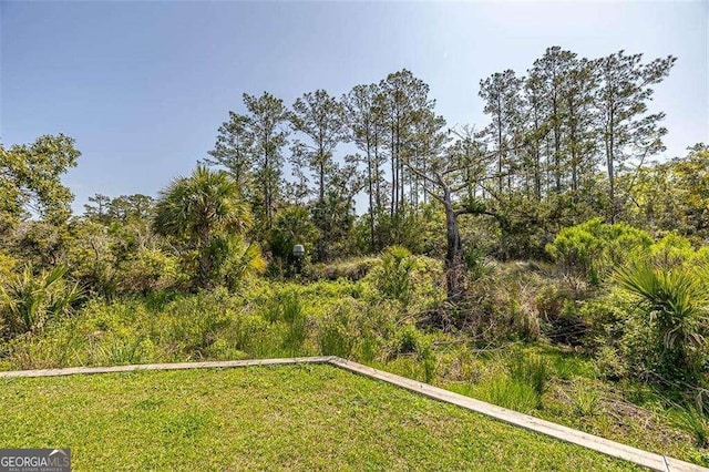 123 E Commons Dr, Saint Simons, GA 31522 - view of yard
