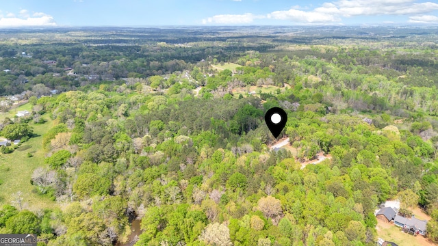bird's eye view with a forest view