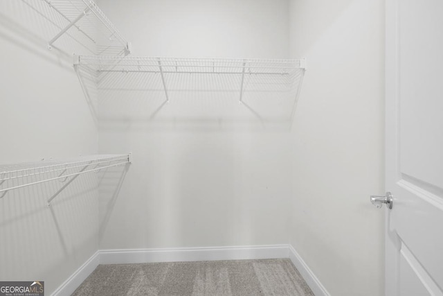 spacious closet featuring carpet