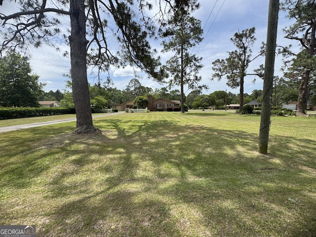 839 Golf Dr, Swainsboro, GA 30401 - view of yard