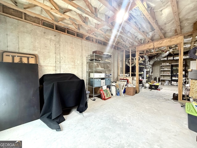 305 Red Gate Ln, Canton, GA 30115 - view of unfinished below grade area