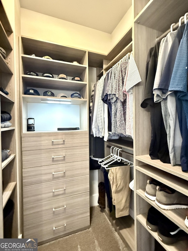 305 Red Gate Ln, Canton, GA 30115 - walk in closet with carpet