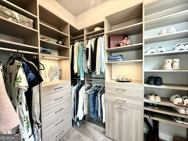305 Red Gate Ln, Canton, GA 30115 - view of spacious closet