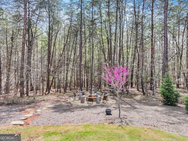 view of yard featuring a fire pit