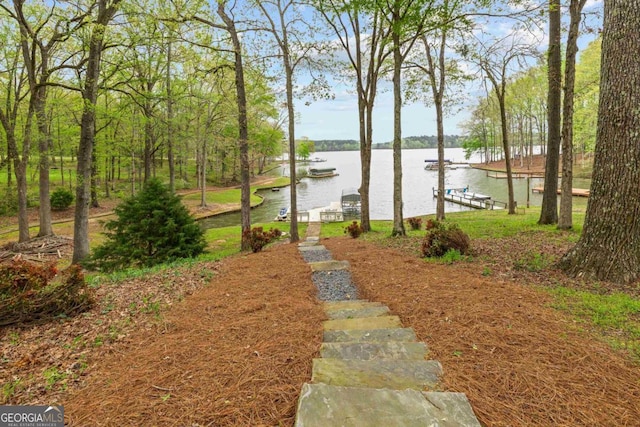dock area with a water view