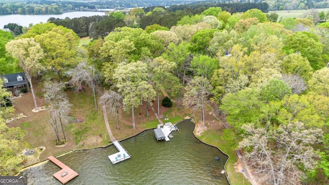 aerial view of a nearby body of water and a tree filled landscape