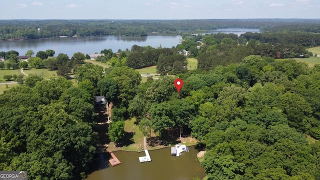 aerial overview of property's location with a nearby body of water and a forest
