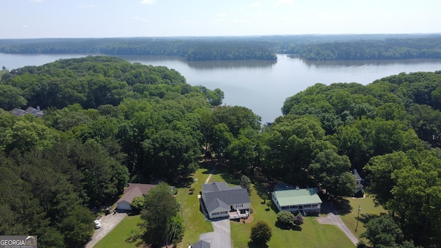 aerial view of a forest and a nearby body of water