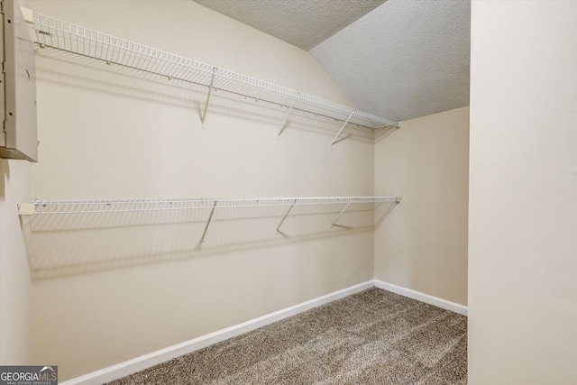 6793 Oconee Pl, Fairburn, GA 30213 - walk in closet featuring carpet flooring and vaulted ceiling