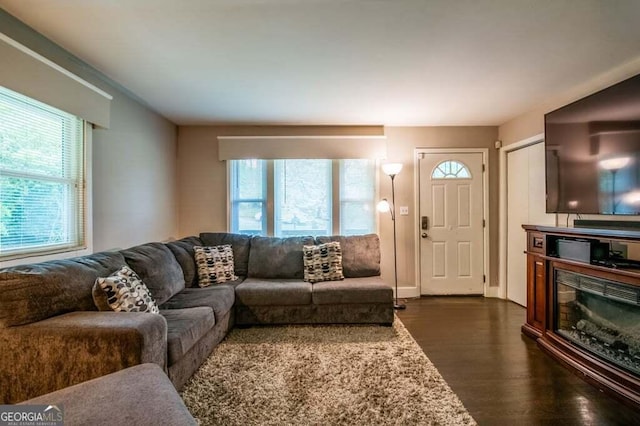 3614 Fairburn Pl NW, Atlanta, GA 30331 - living area with dark wood-style flooring and a wealth of natural light