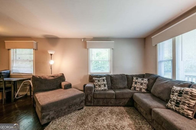 3614 Fairburn Pl NW, Atlanta, GA 30331 - living room featuring wood finished floors