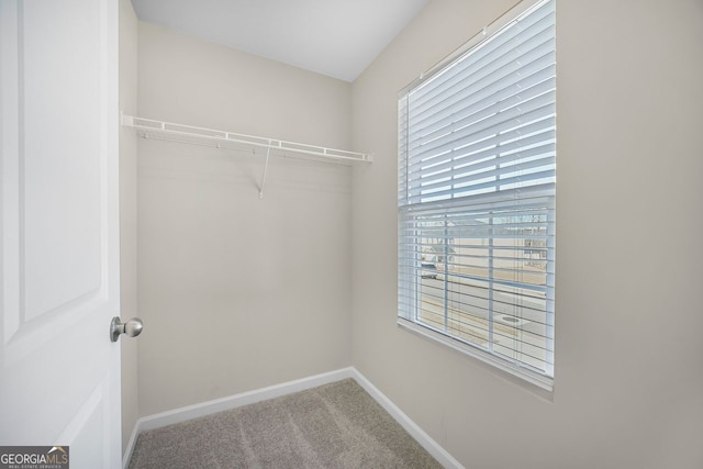 spacious closet featuring carpet
