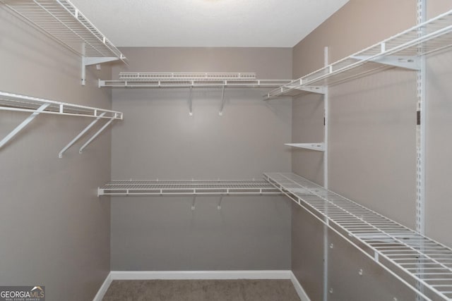 spacious closet featuring carpet floors
