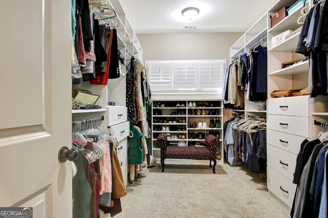 53 Gordon Manor Ct, Senoia, GA 30276 - spacious closet with carpet flooring
