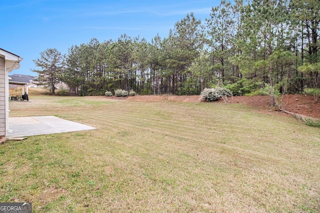 2036 Broadmoor Way, Fairburn, GA 30213 - view of yard featuring a patio