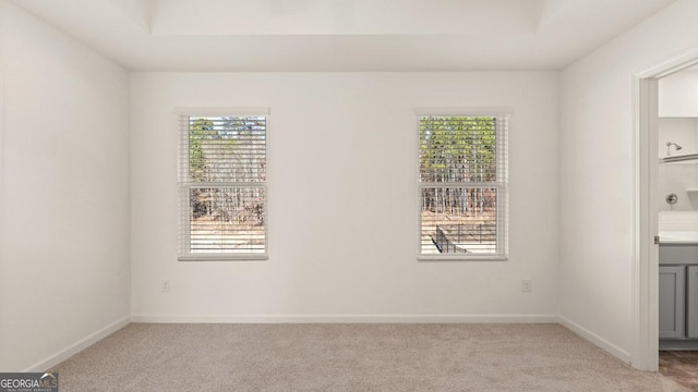 empty room featuring baseboards, light carpet, and a healthy amount of sunlight