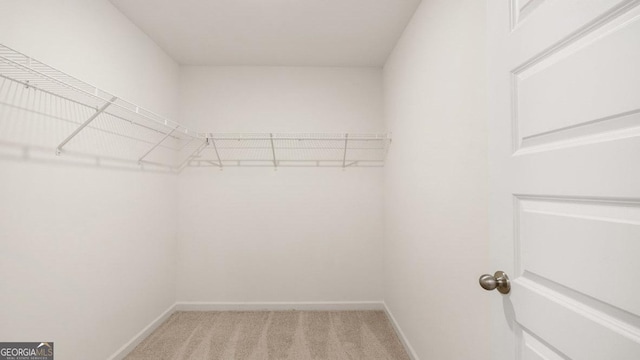 spacious closet featuring light colored carpet