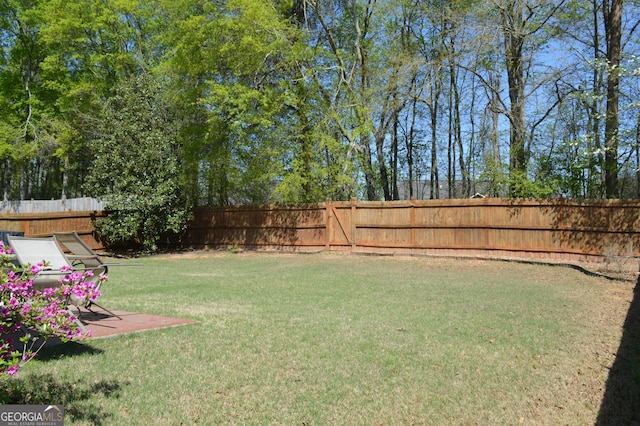 view of yard featuring a fenced backyard