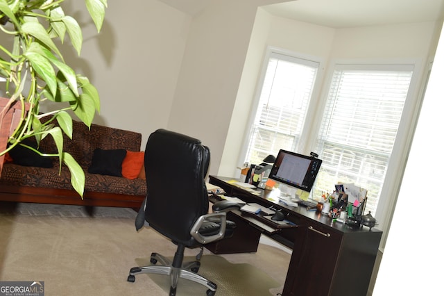view of carpeted home office