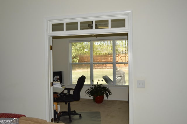 office area featuring carpet