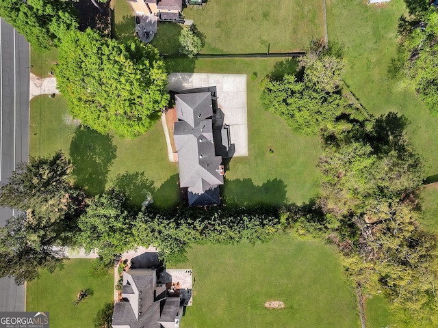 bird's eye view